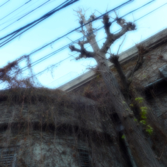 鶯谷から下谷辺り (2)