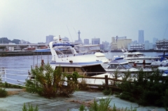 横浜にて (4)