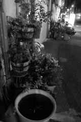アメ横から秋葉原へ2013年11月 夜 (43)