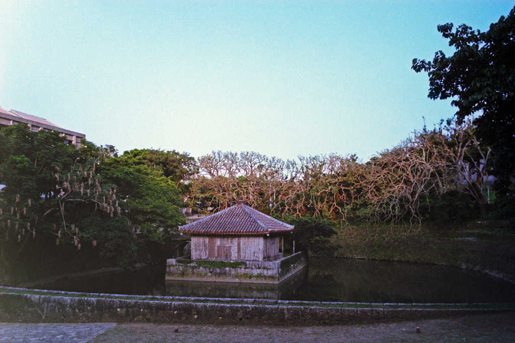 龍潭池近く