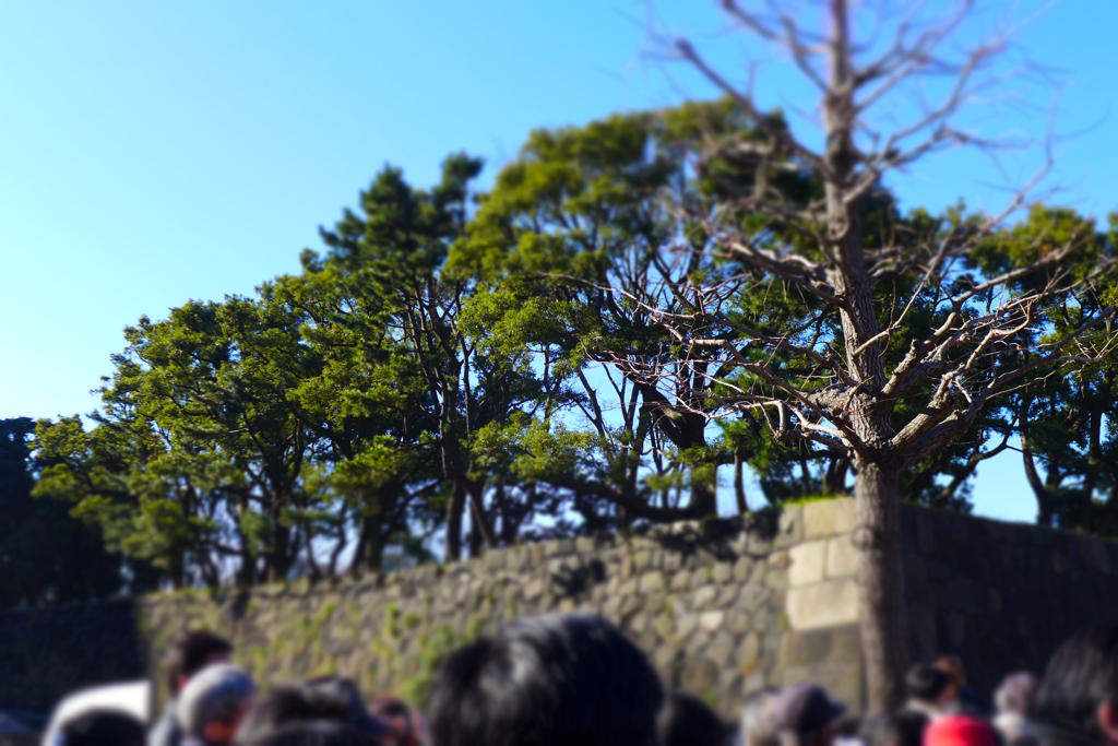 ジオラマで一般参賀 (2)