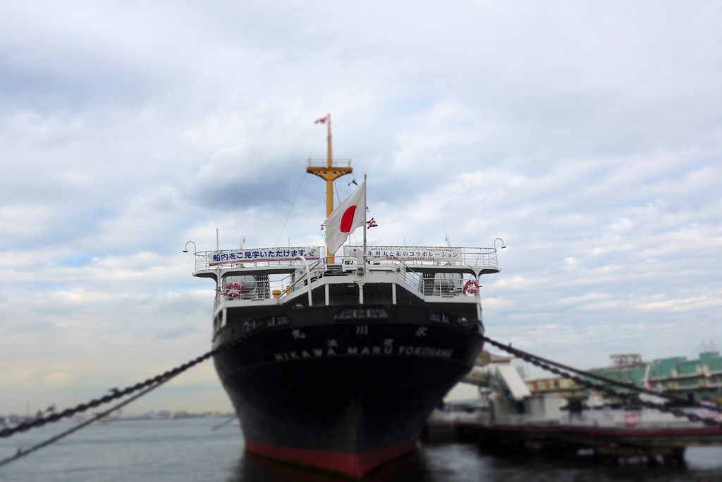 山下公園辺り (2)