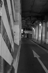 アメ横から秋葉原へ2013年11月 夜 (41)