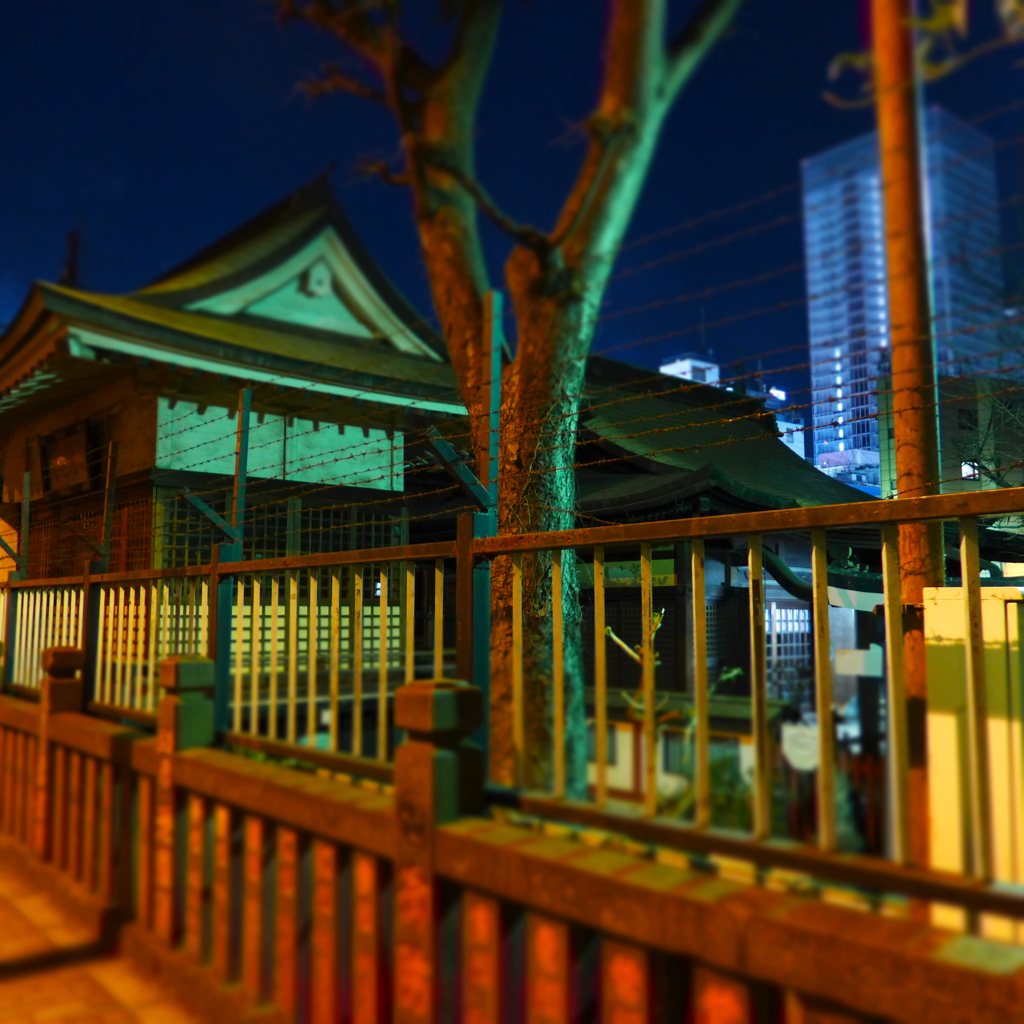 秋葉原の二社・その界隈 (16)