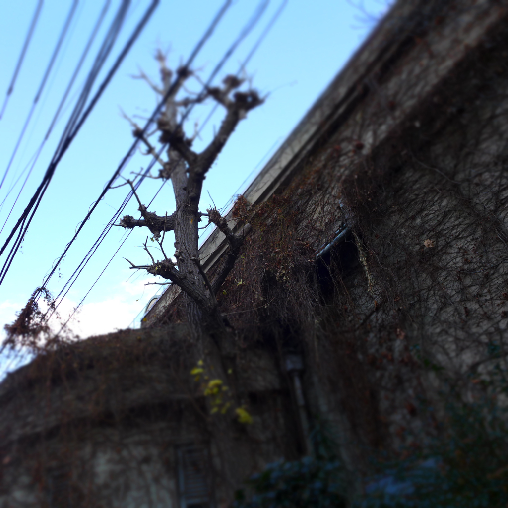 鶯谷から下谷辺り (3)