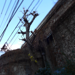 鶯谷から下谷辺り (3)