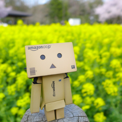 やっと雨上がったね・ダンボー (1)