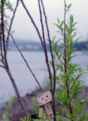 山中湖 (6)