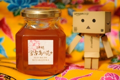 沖縄のハチミツ
