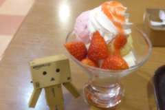 新年会その後２０１４ (1)