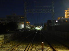 深夜･自転車散歩・芦花公園･北 (4)