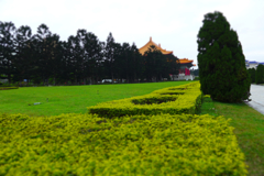 行くべきではなかった？中正紀念堂 (13)