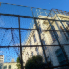 鶯谷から下谷辺り (4)