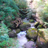 屋久島 (3)