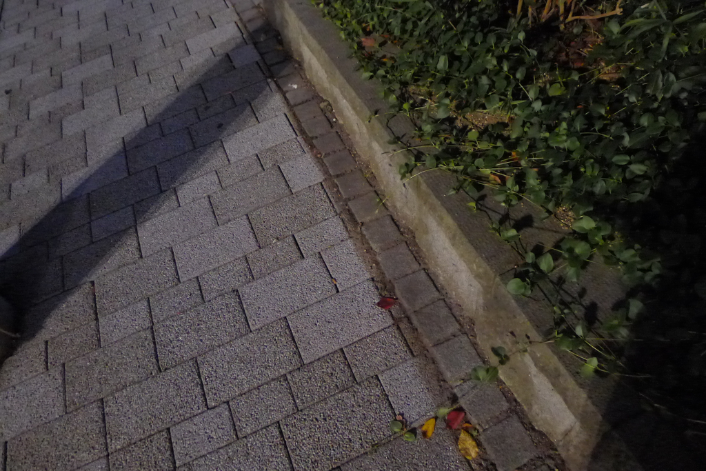 福島・郡山・放射線量