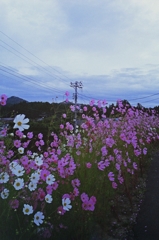 新潟へ (2)