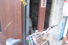 年始の中野界隈2014 (8)