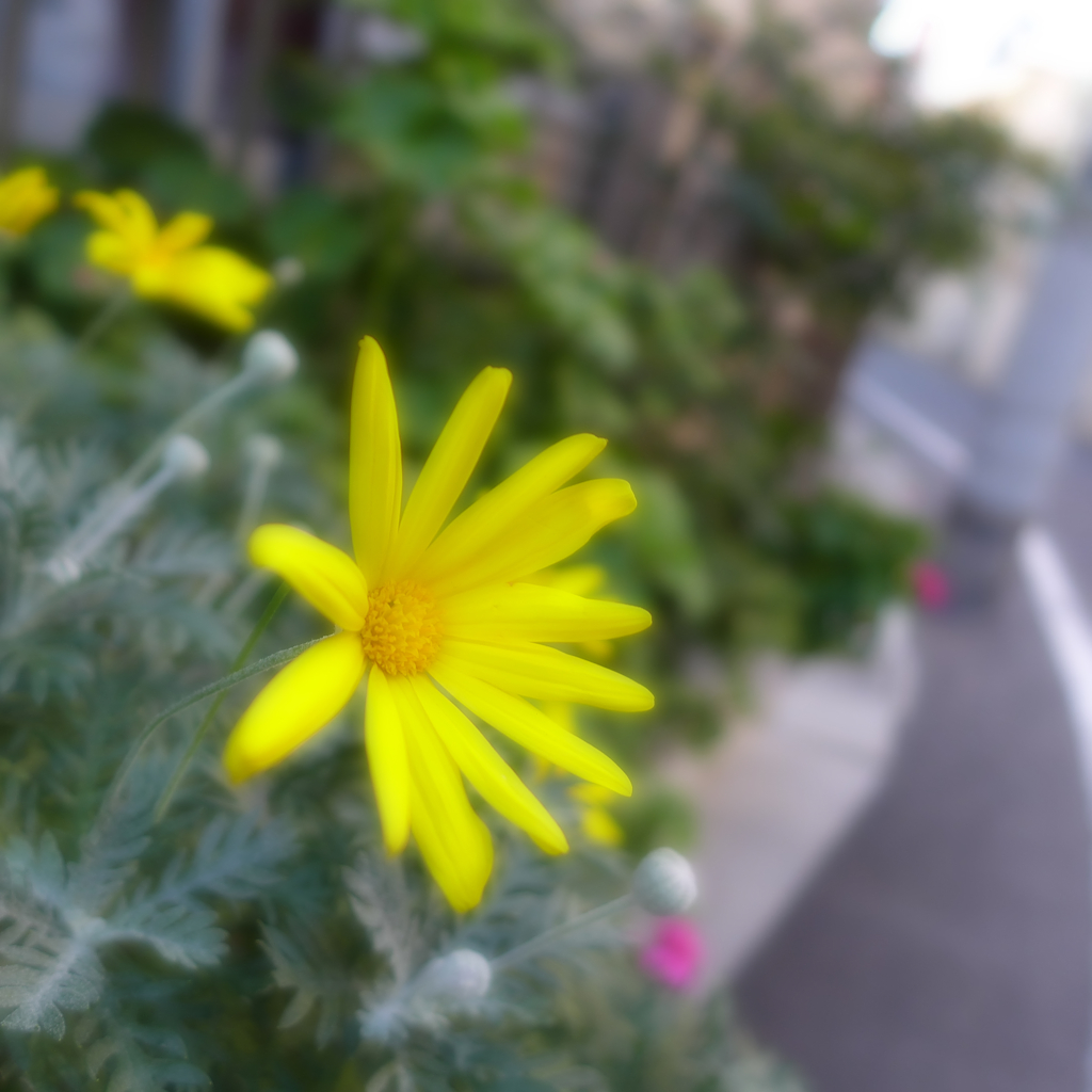 鶯谷から下谷辺り (5)