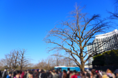 ジオラマで一般参賀 (1)