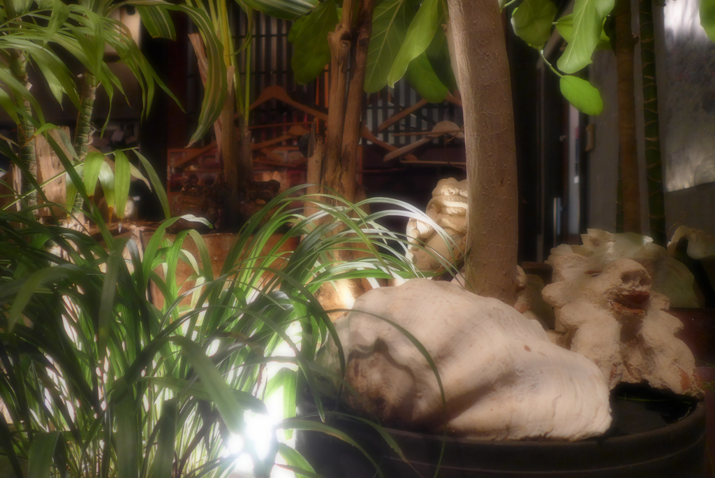 沖縄居酒屋さんへ (4)