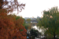 風景（上野動物園）