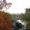 風景（上野動物園）
