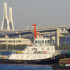 横浜港遊覧 (27)