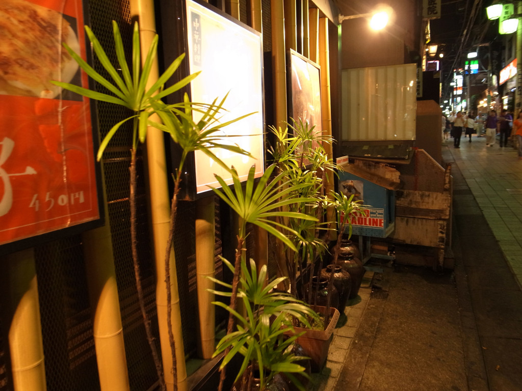 夜・中野辺り