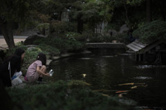 夕暮れの公園で