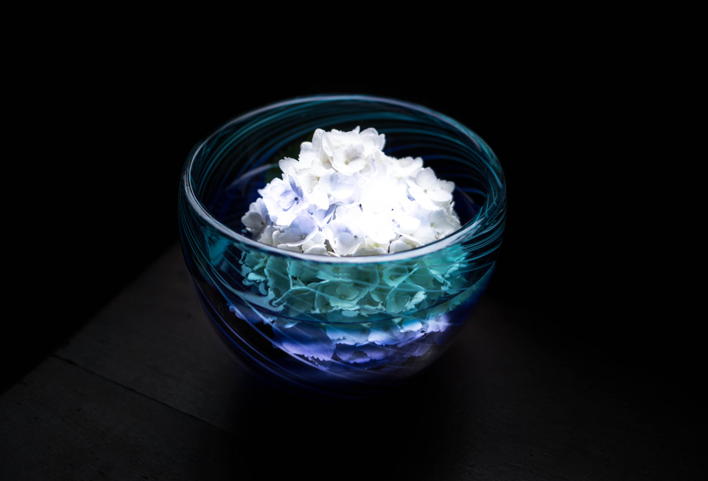 TP　BLUE