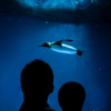 水族館にて