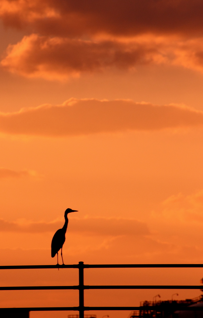 夕暮れの海で