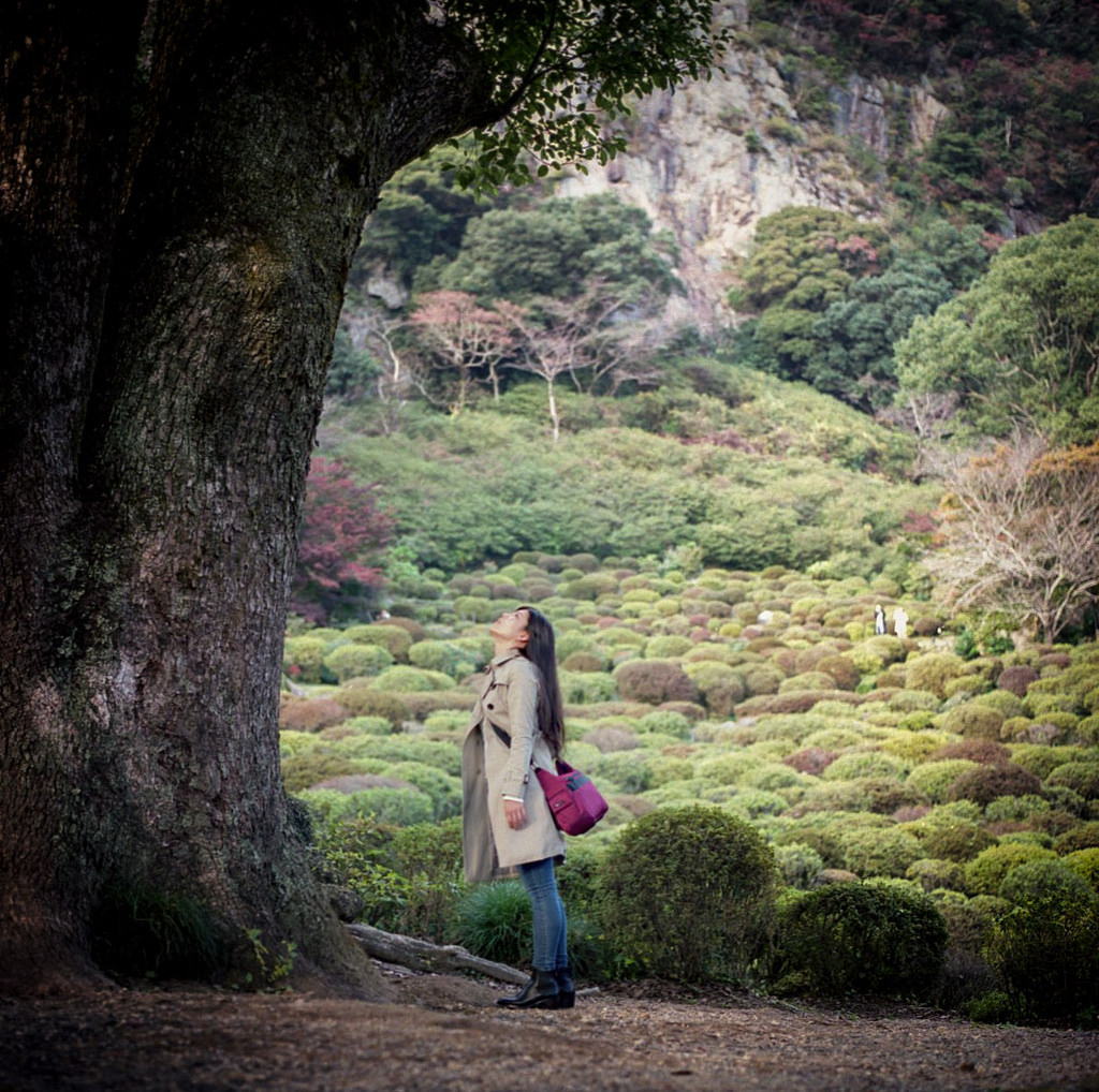 Under the Tree