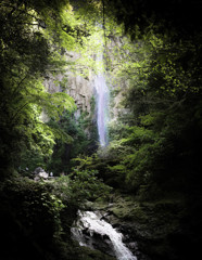 「Waterfall」