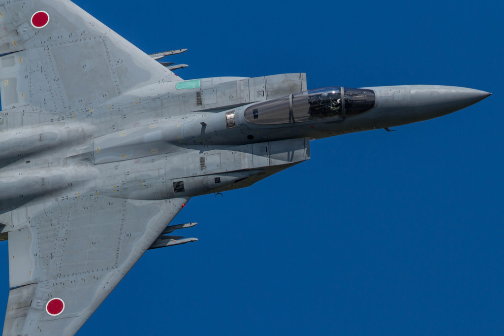 三沢基地航空祭2014 F-15J