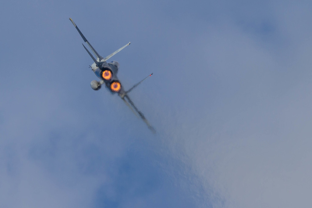 岐阜基地航空祭2014 F-15