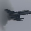 日米フレンドシップデー2015 F/A-18