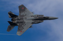 小松基地航空祭2014 F-15J