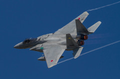 エアフェスタ浜松2014 F-15