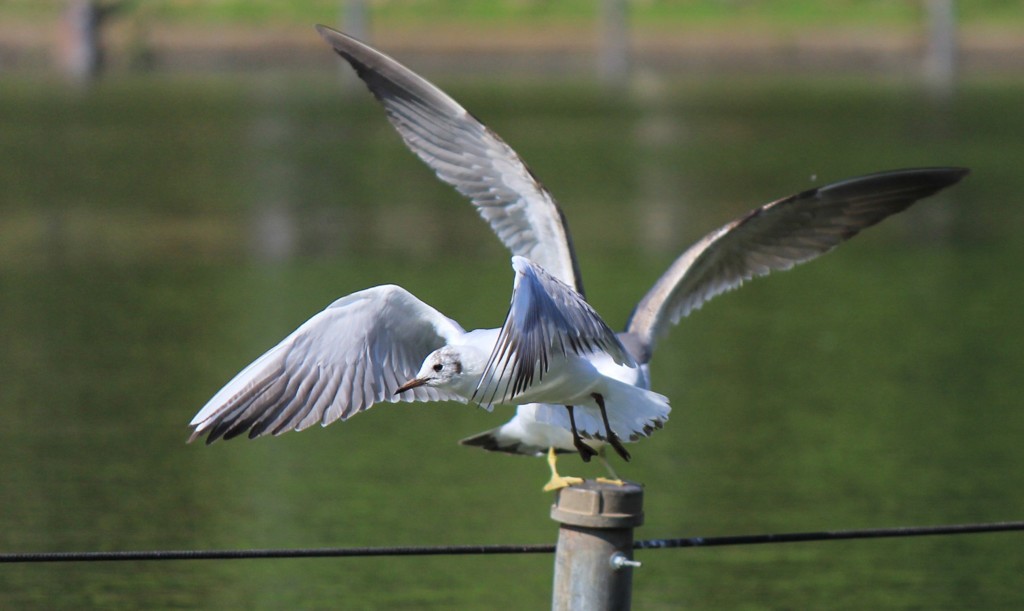 X57[HACK~I@%7D4NC5($%258Y95