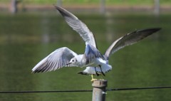 X57[HACK~I@%7D4NC5($%258Y95