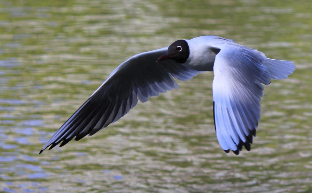 KYBBS~%7D@HUYJR4Y@D5KJ8DS