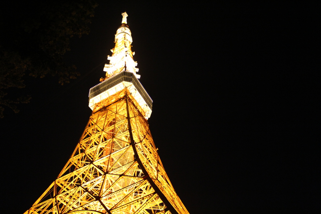 東京タワー　０１