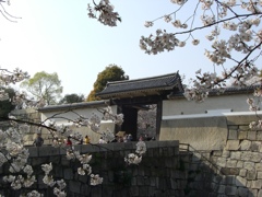 CIMG1156