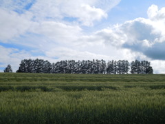 DSCN1432