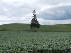 DSCN1422