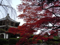 DSCN1011