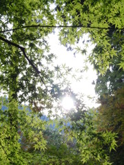 DSCN1042