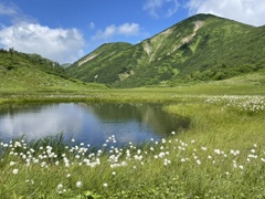 夏盛りて