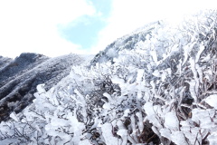 羊蹄山冬へ